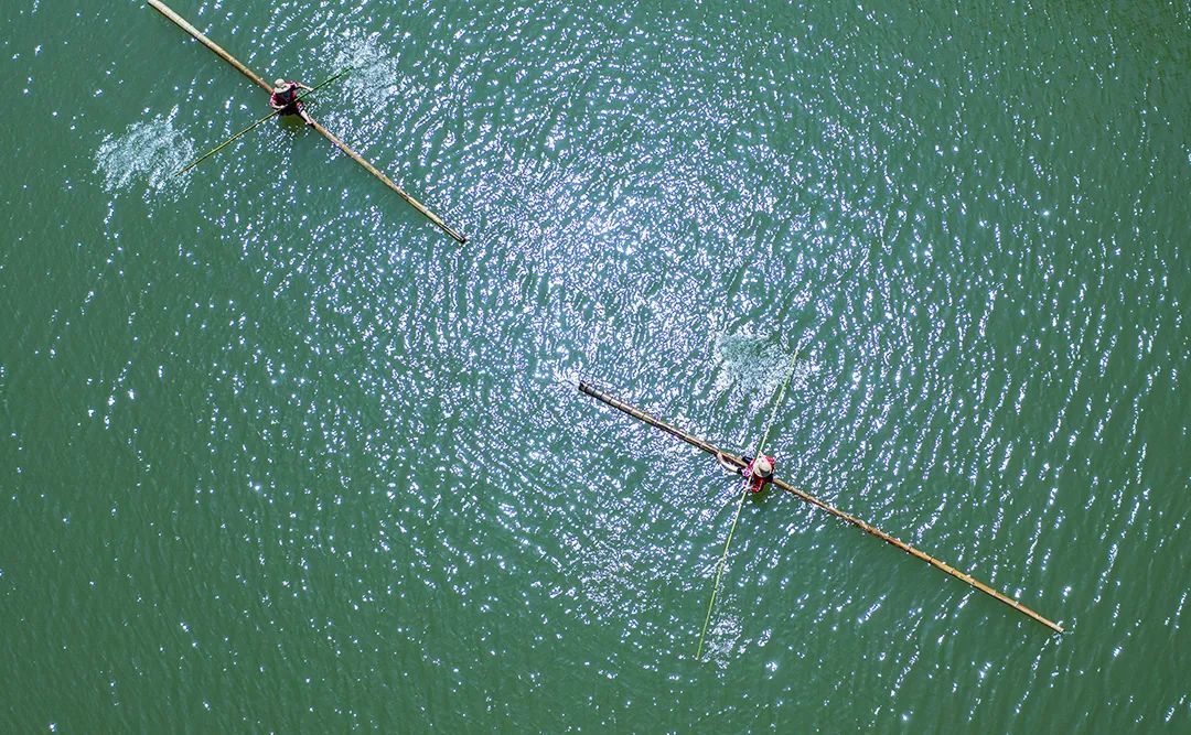 赤水竹海湖面上常见的独竹漂 ©️新华社