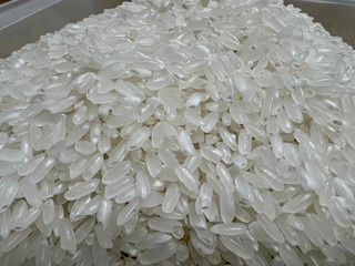大米饭的天花板五常稻花香2号满屋飘香