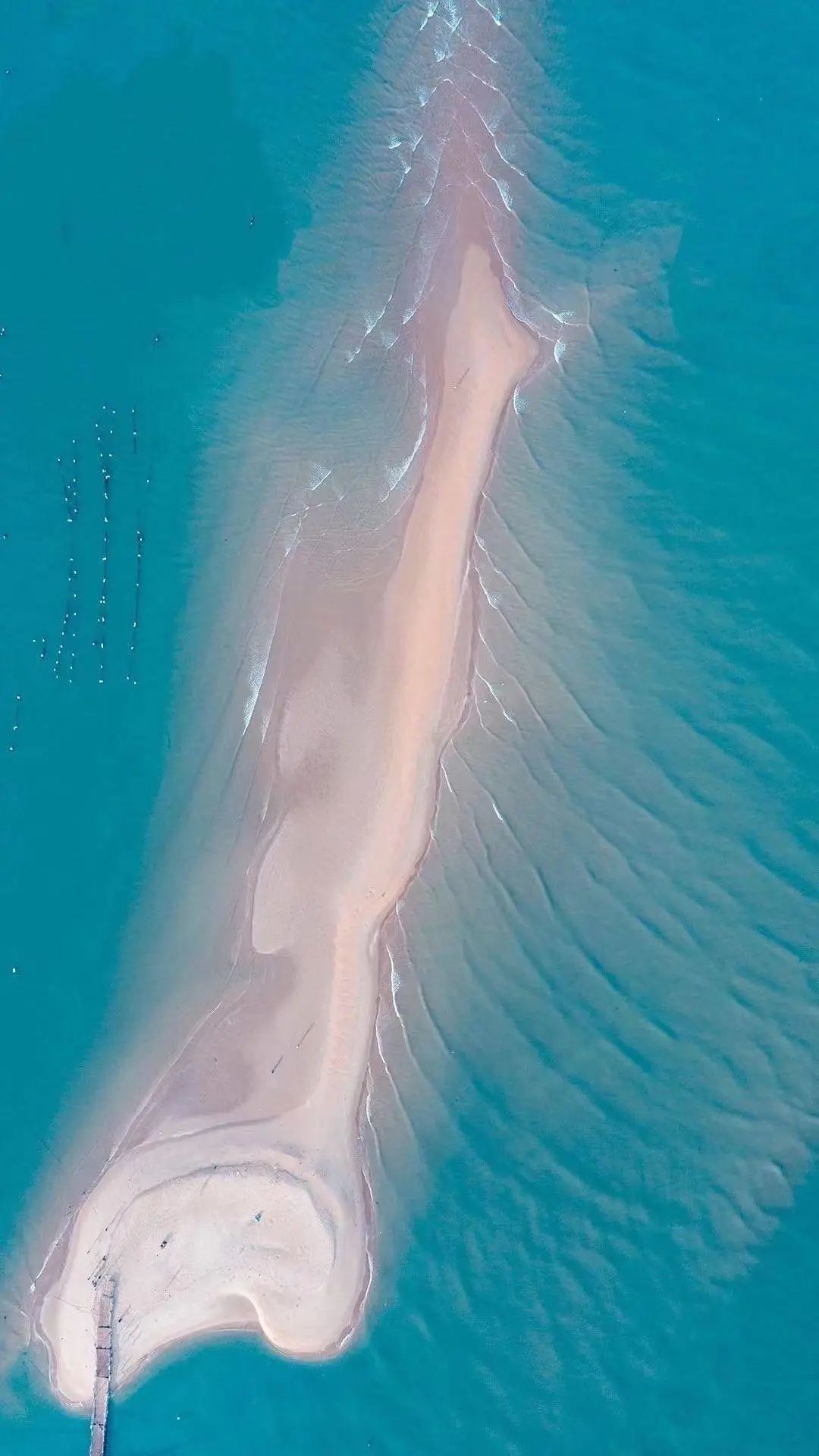 东山岛潮汐变化间形成的鱼骨沙洲景观 ©网络