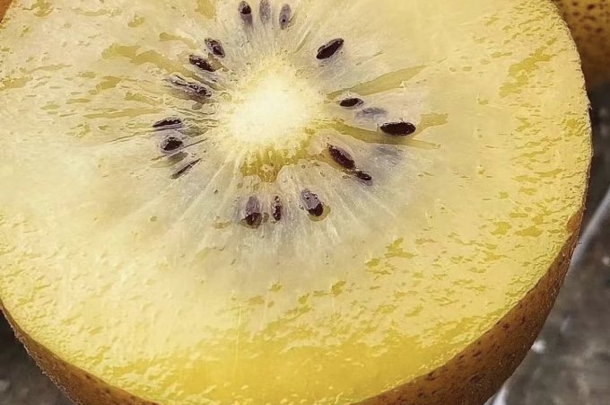 佳沛奇异果/猕猴桃