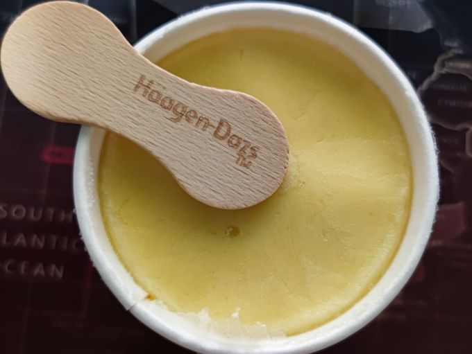 哈根达斯冰淇淋/雪糕