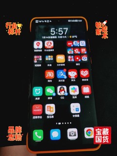 1200元最强！备用机！华为P30Pro