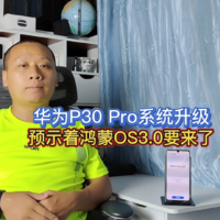 华为P30Pro系统升级，预示着鸿蒙OS3.0要来了