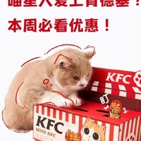 即日起限量发售：购肯德基指定套餐，获KFC限定版猫玩具