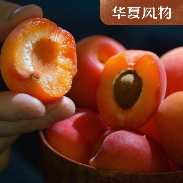 杏杏杏杏杏，“杏”亏有你，甜蜜了整个夏天