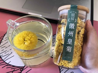 解暑降温过一夏，绿满堂徽州皇菊