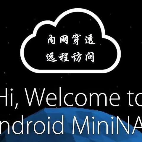 给安卓NAS系统加个点——Android MiniNAS系统无公网内网穿透详细教程