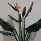 LEGO 乐高 Botanical Collection植物收藏系列 10289 天堂鸟