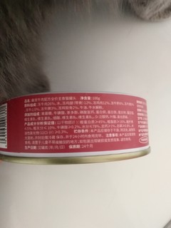 最宠猫罐头