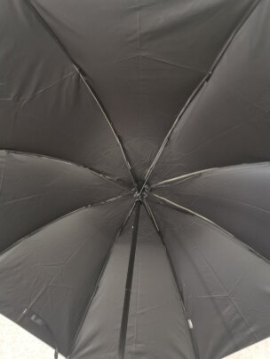 天堂伞雨伞雨具