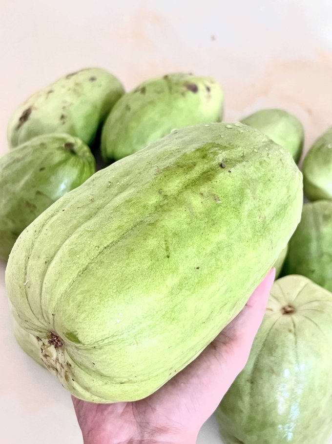 新鲜水果怎么样 几十年难得一遇,自家种的雪梨瓜大丰收了!_什么值得买