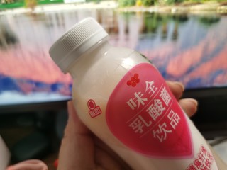 味全乳酸菌饮品膳食纤维草莓味儿好喝