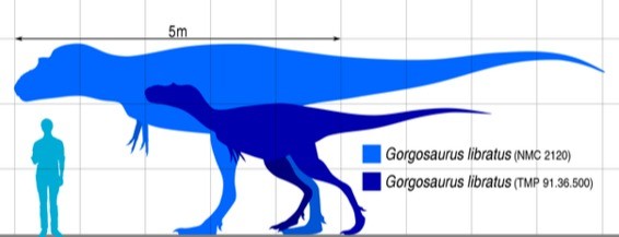 7700万年前的魔鬼龙化石以606.95万美元成交，又一具恐龙化石被拍卖