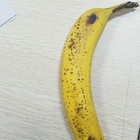 果仙享 香蕉