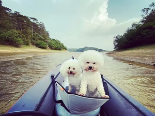 夏日好物，清凉一夏！