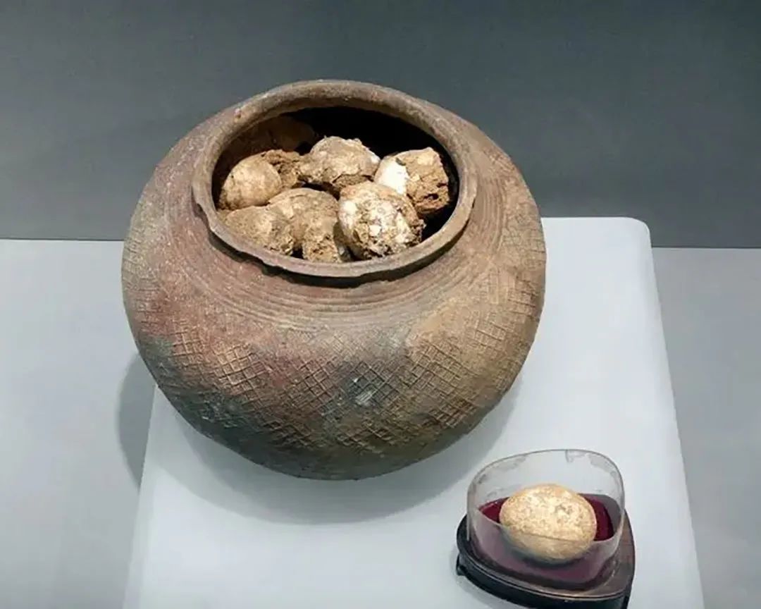 图为江苏句容的一座西周墓葬中出土的鸡蛋化石，距今已有2800 年，目前我国发现的年代最早的鸡蛋实物，现保存于南京博物院。 ©网络