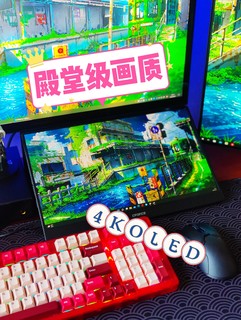 4K OLED！殿堂级画质最优解