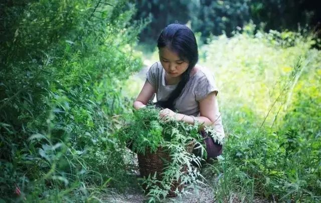 90后姑娘隐居山林，仅花6万就建出300㎡的别墅，把日子过成了诗！