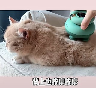 灵魂按摩器，小猫用人用二合一