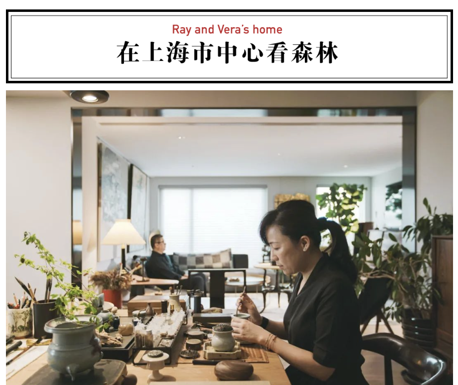 台湾夫妻定居上海20年，买一套房专门喝茶：中国文化的根在这里