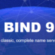 翻车的home server经验分享-DNS [bind9][webm
