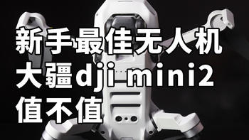 新手最佳无人机 大疆dji mini2 