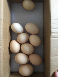 京东发福利0.01领的10个鸡蛋