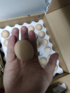还行的鸡蛋，个大蛋正。。。