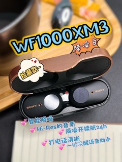 捡漏旗舰降噪耳机索尼WF-1000XM3