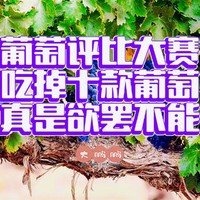 十款葡萄大横评，只为找到心中的葡萄女神！美团优选和多多买菜每家五款葡萄，到底哪个买菜平台最好？吃完以后直呼过瘾！