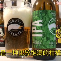 超火！许多精酿啤酒小白的入坑作品！