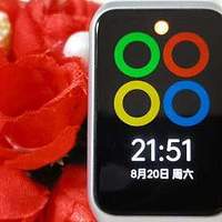 好物评测 篇九十八：小号iWatch，手环身材手表实力，OPPO手环2很强