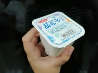 益菌多日常好酸奶