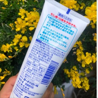 日本进口亮白牙膏推荐