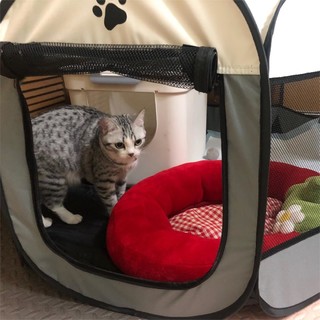 舒适大房，给猫咪一个安全温馨的家