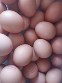 每个蛋都有一个编号