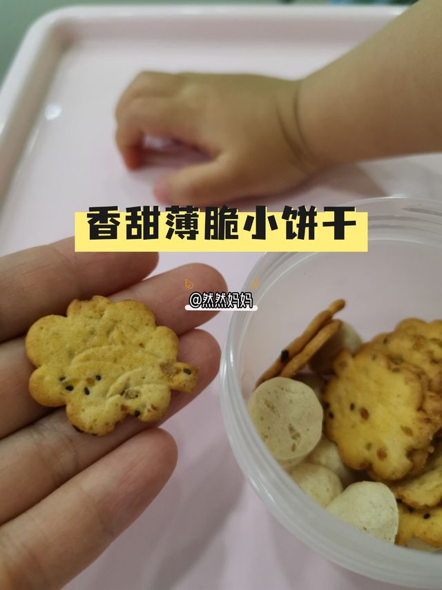 娃的新宠，香甜薄脆小饼干～