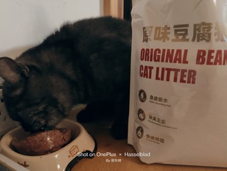 豆腐猫砂可试试这款，除臭结团都很棒