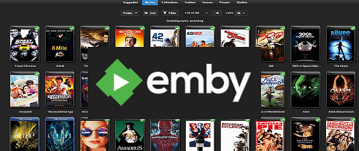 Emby高级教程：修改支持4K UHD 文件夹原盘_NAS存储_什么值得买