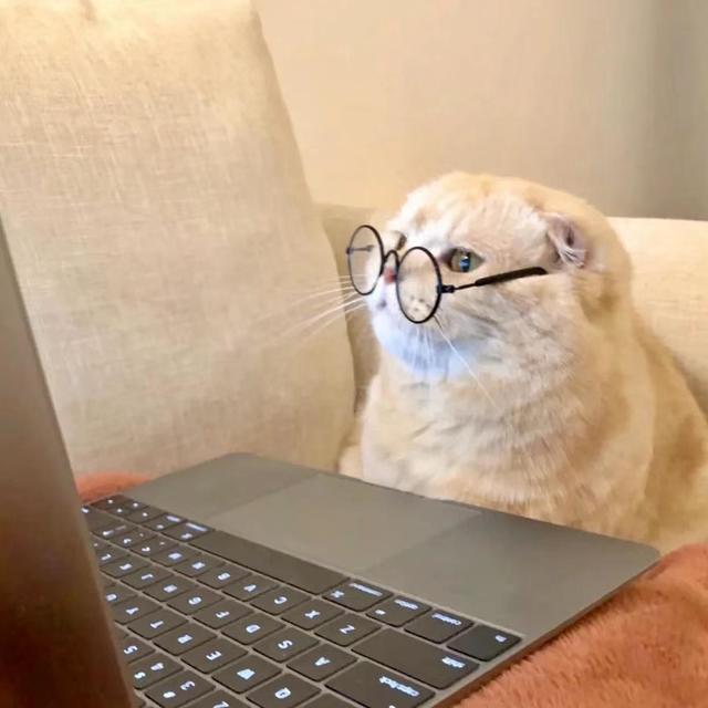 到底要不要给猫咪吃化毛膏？化毛膏是刚需？？？