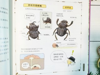 这套科普漫画昆虫书再现昆虫的精彩世界