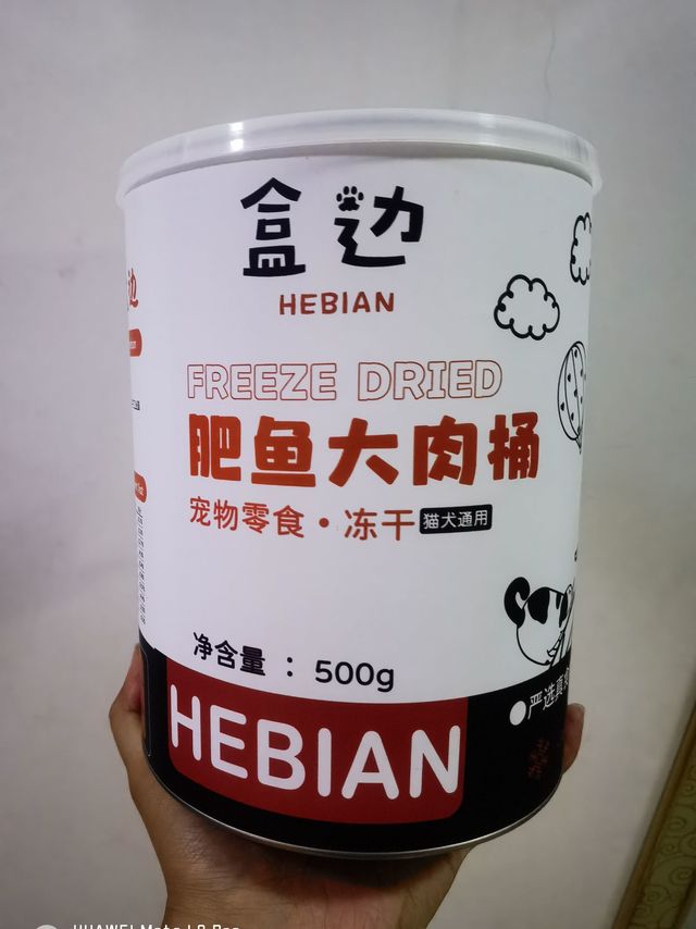 肥鱼大肉桶！吃完变肥猫！