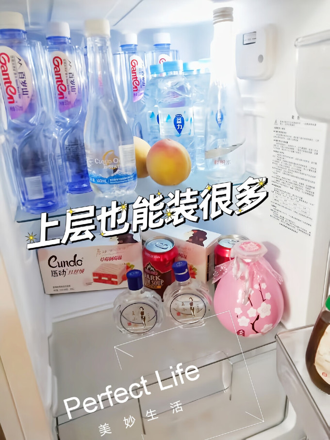 双门冰箱