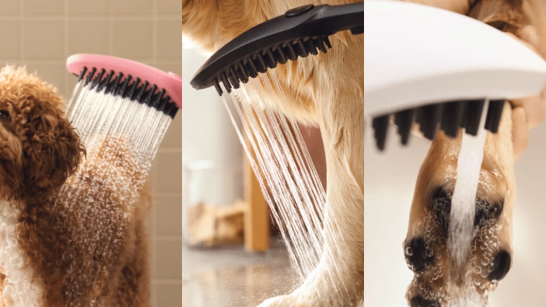 汉斯格雅首款宠物专用花洒，压力控制设计+加长梳尺喷嘴+爪爪清洁孔
