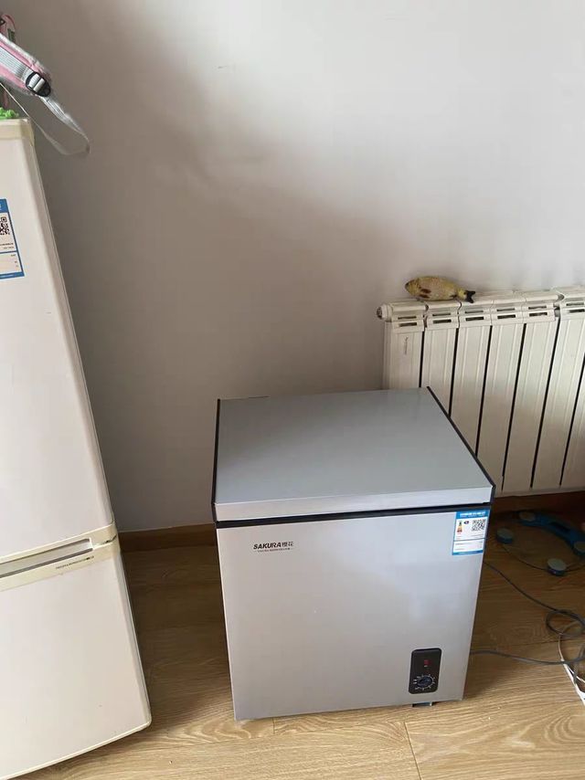 独居人必备迷你冰柜|实用单品