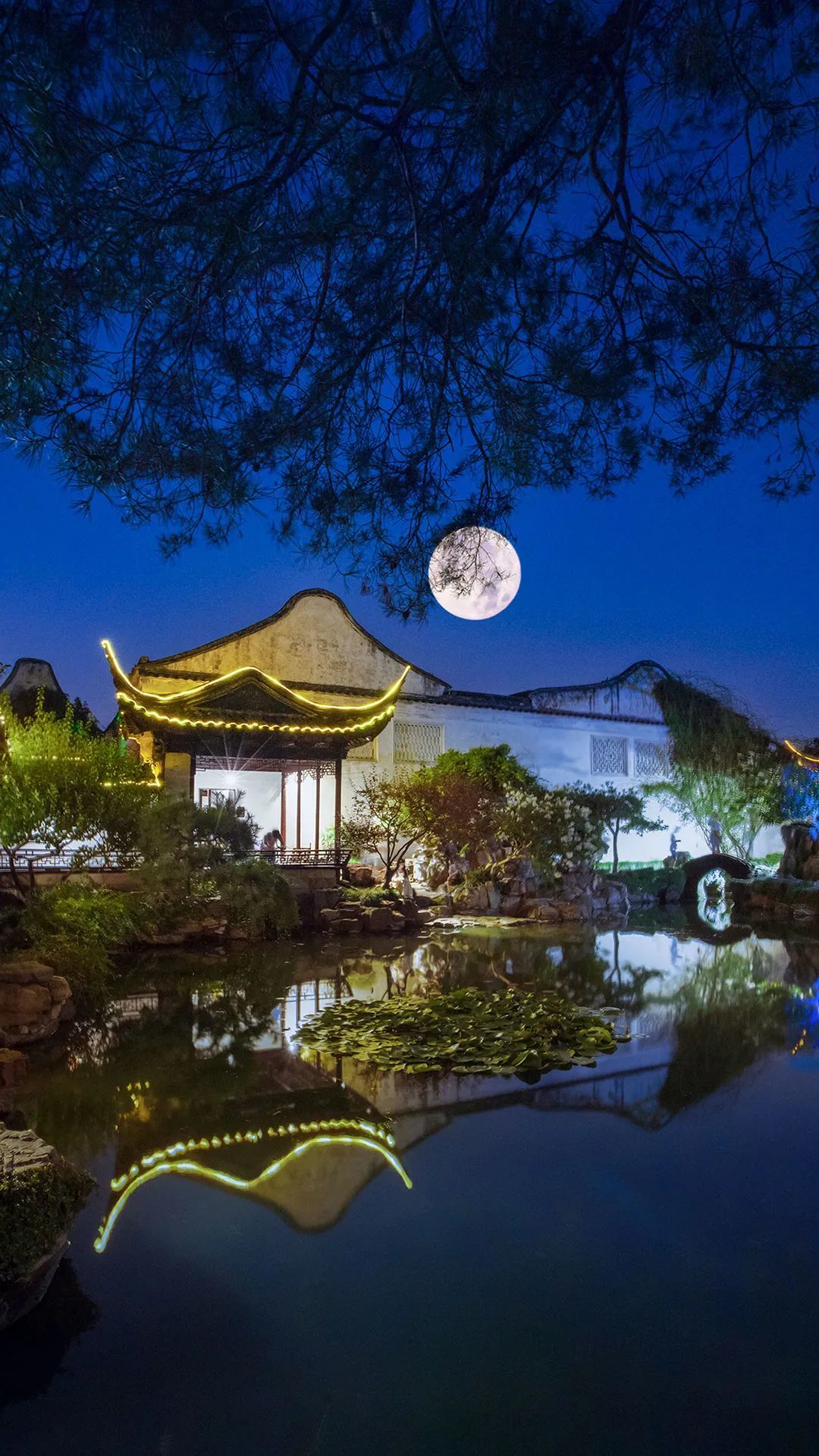 网师园的月色，带着江南水乡的婉约 ©️苏州园林官方微博
