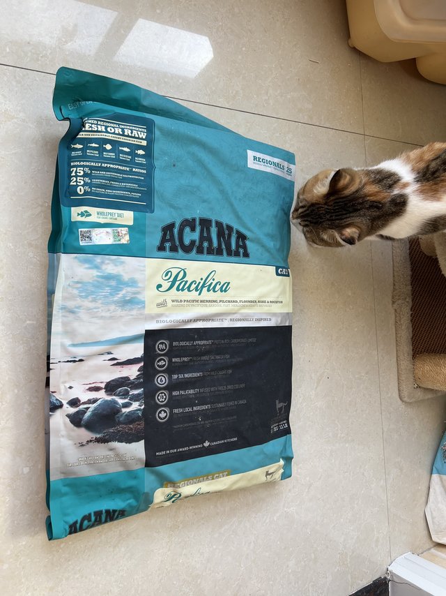 爱肯拿海洋盛宴猫粮