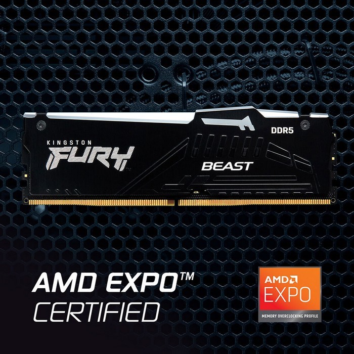 为AMD新锐龙：金士顿发布 FURY Beast DDR5“野兽”EXPO系列