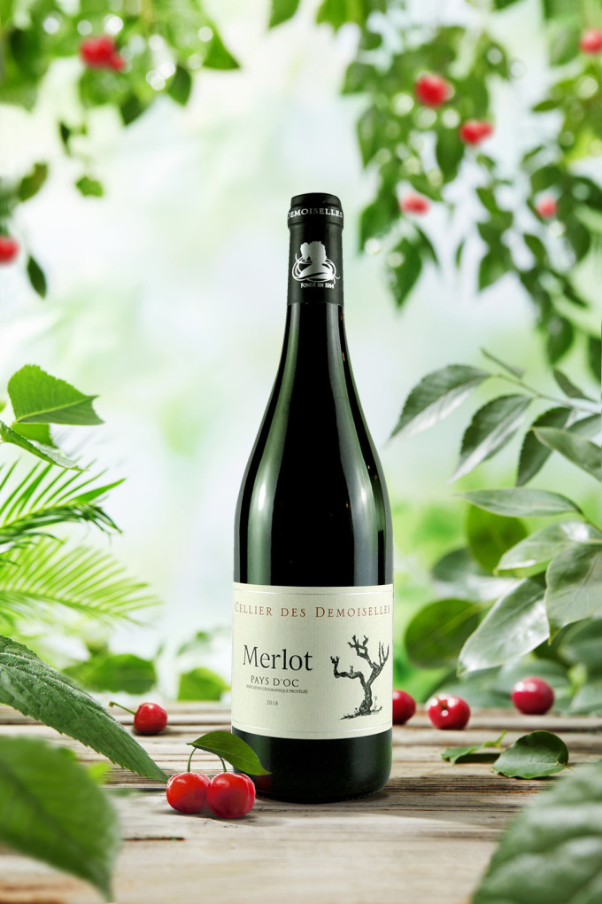 美乐红葡萄酒怎么样 老藤梅洛干红葡萄酒_什么值得买