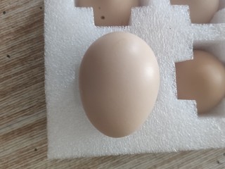 1.9入手的鹌鹑蛋大小的鸡蛋😂